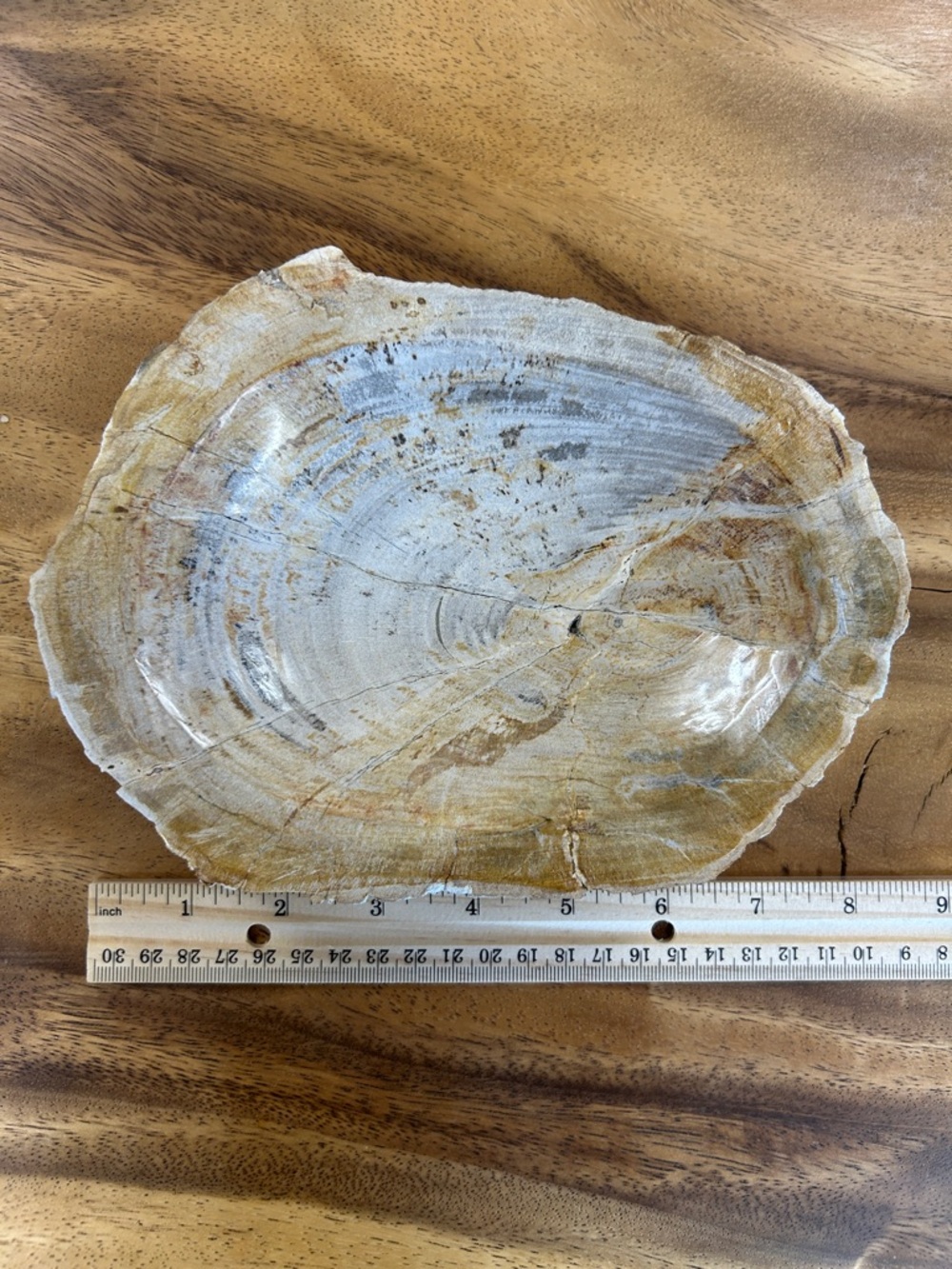 Petrified Wood Decorative Bowl - Picture 10 of 17